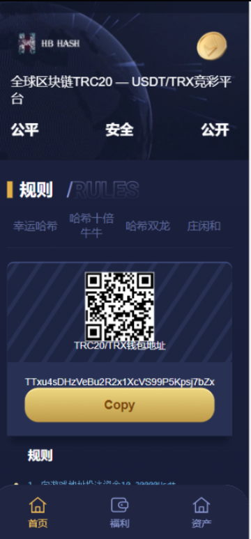 哈希竞猜源码-支持四种玩法